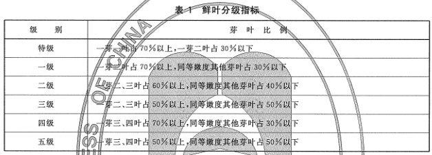 信阳毛尖