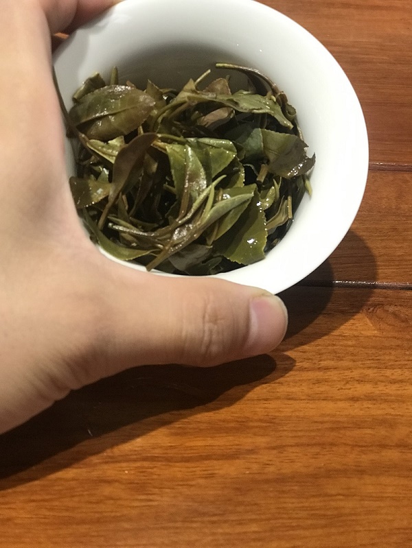 浉牌®信阳白茶2024新茶 白茶铁罐简装