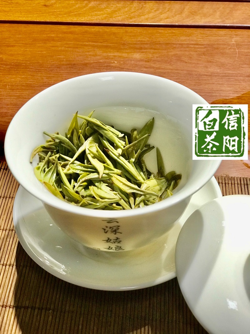 浉牌 信阳白茶 2024年浉河港特级润灵芽50克/罐装白茶