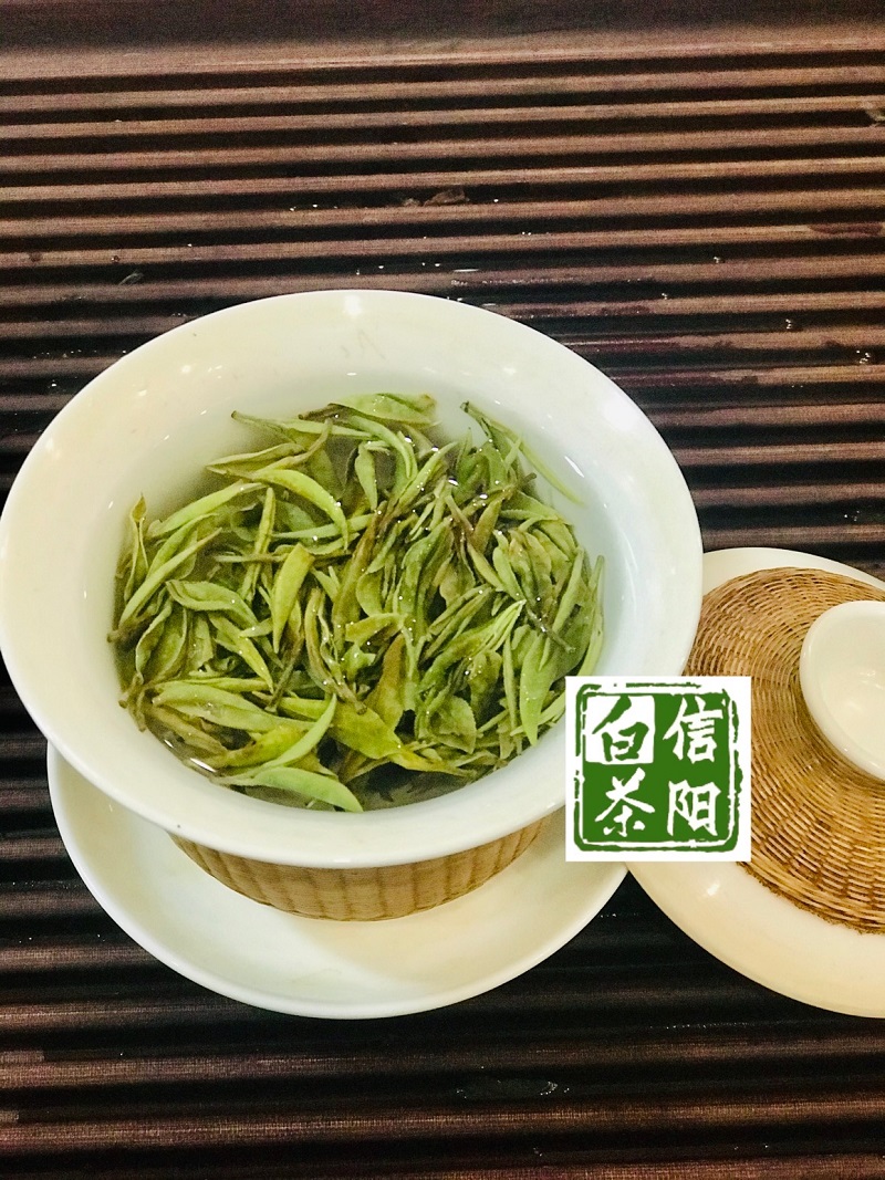 浉牌 信阳白茶 2024年浉河港特级润灵芽50克/罐装白茶