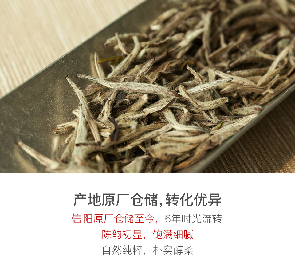浉牌·大师手制 | 2012年信阳白茶·老白茶50g
