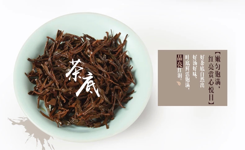 浉河港信阳红茶2024新茶红茶三级 实惠耐泡浓香