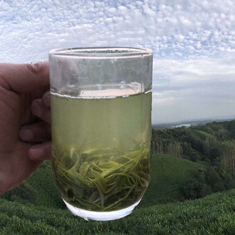 抢鲜 信阳毛尖2024新茶【一芽二叶】绿茶手工茶散茶产地货源