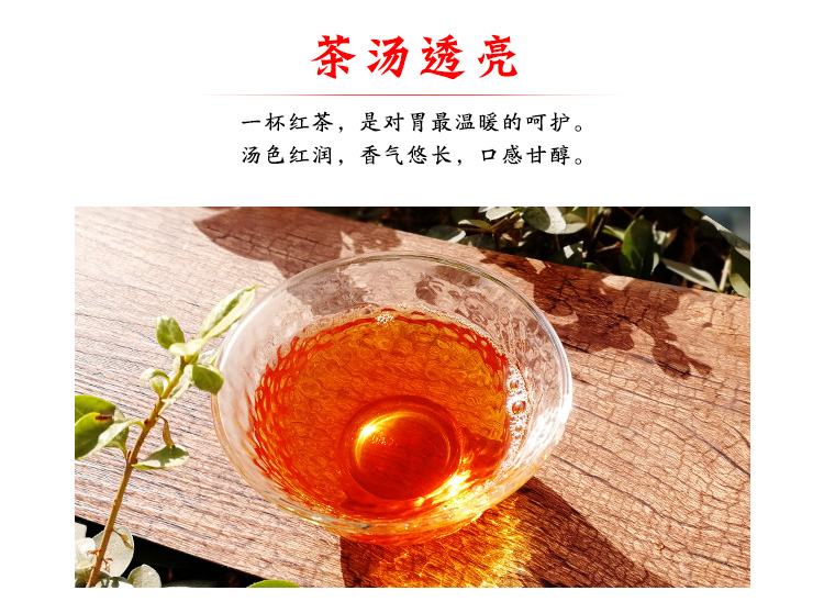 浉河港信阳红茶2024新茶红茶二级 信阳浉河港原产地直销